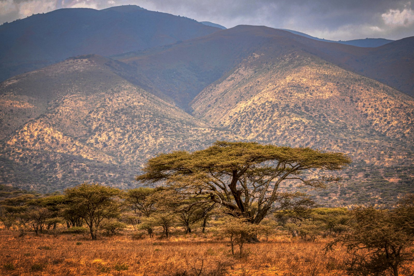 Tanzania Highlights