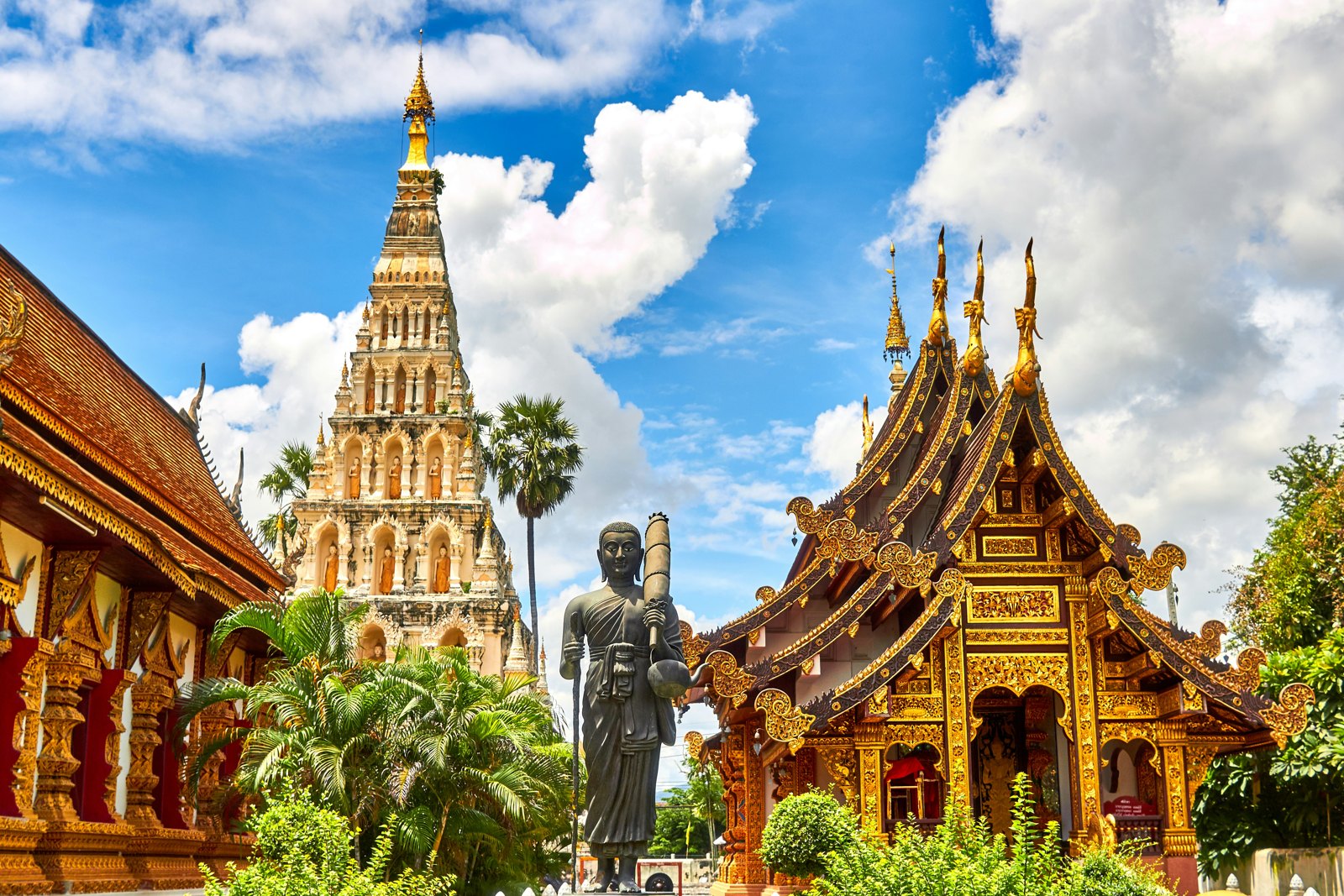 Group Tour Packages and MICE